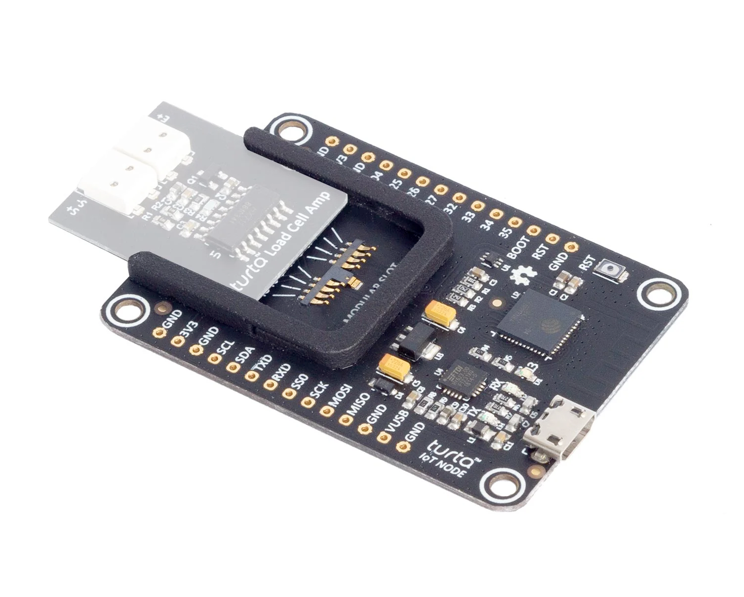 Turta IoT Node board